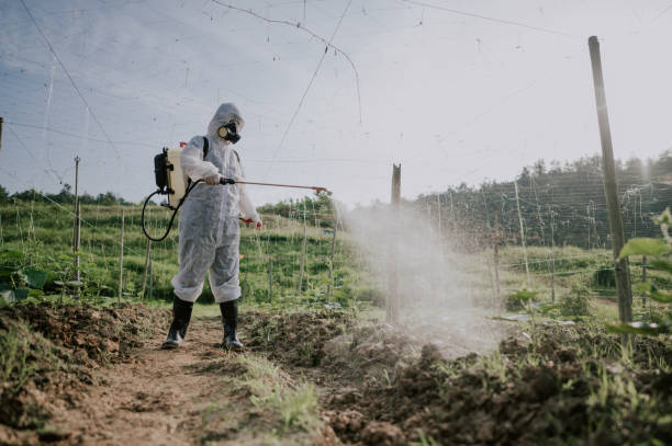 Best Local Pest Control Services  in West Hurley, NY