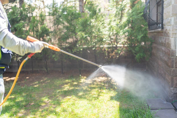 Best Pest Inspection Near Me  in West Hurley, NY